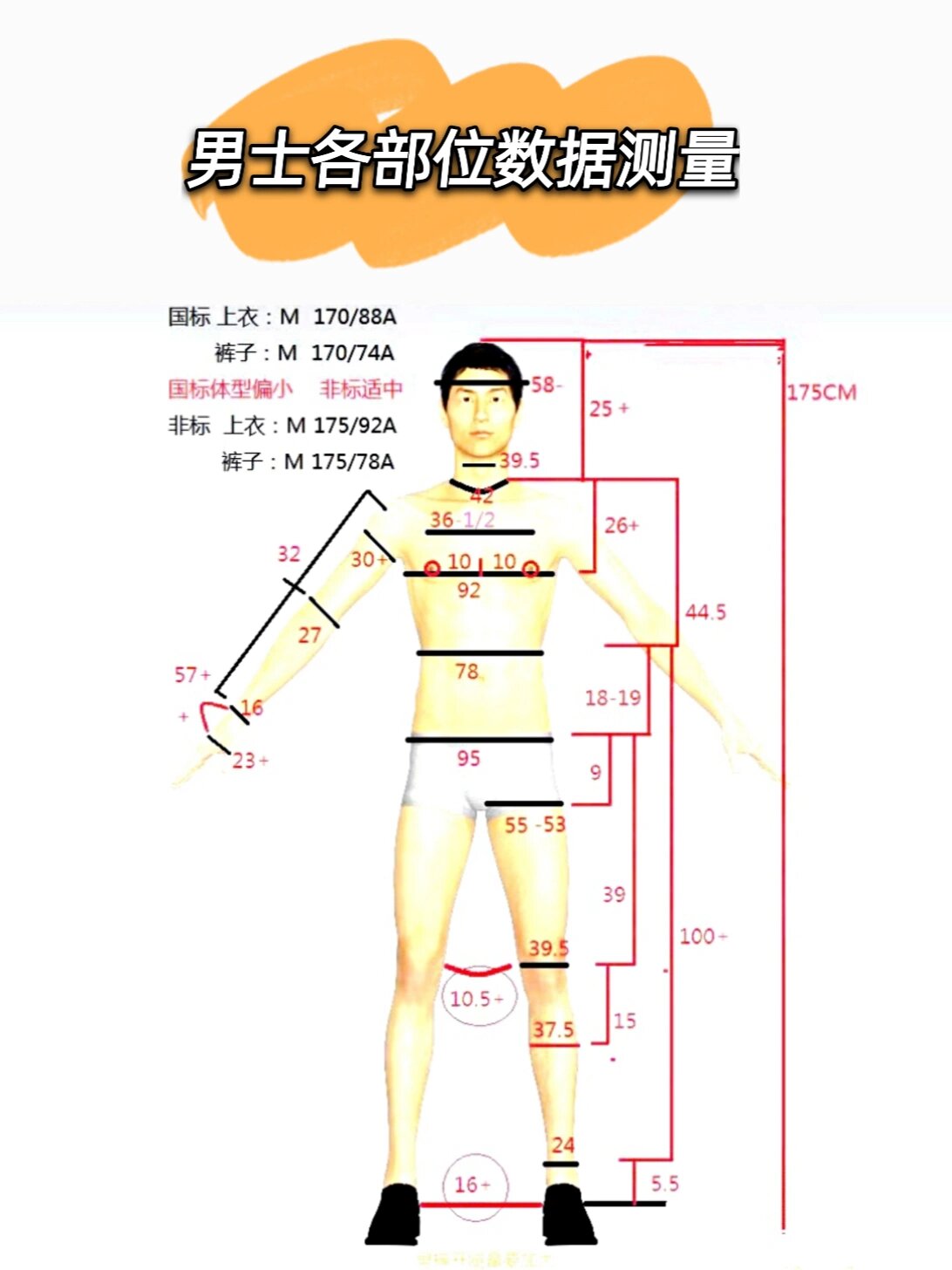 人体各部位数据测量