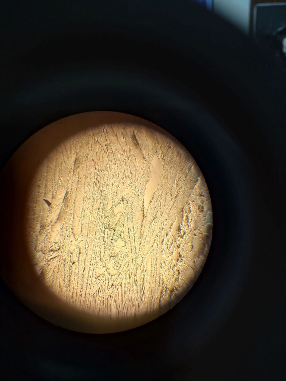 显微镜下的铁碳合金金相图 好看吗 p1过共晶白口铁 p2工业纯铁(有点