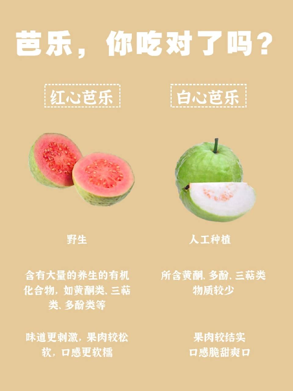 番石榴叶的功效与作用