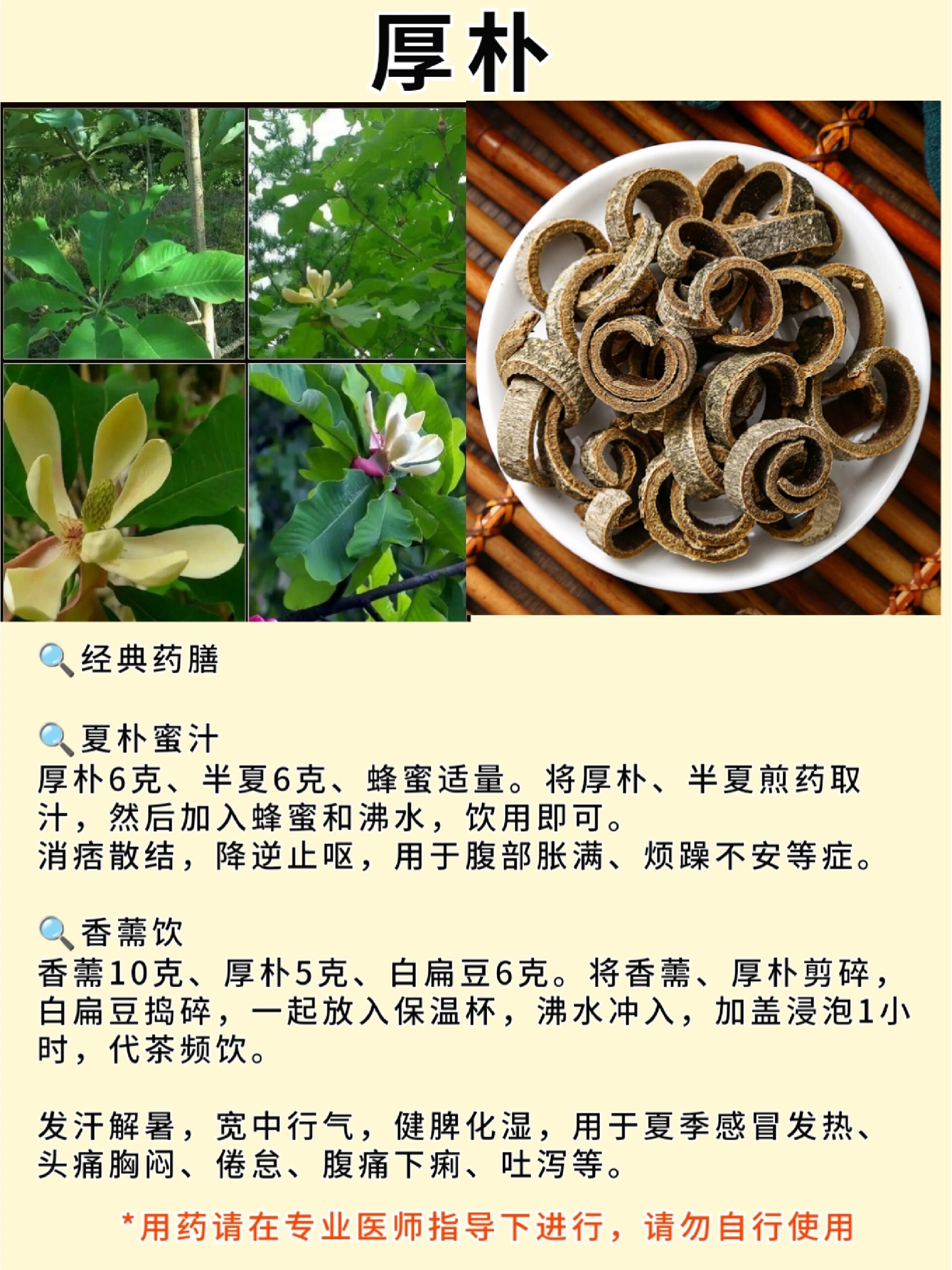 川朴的功效与作用图片图片