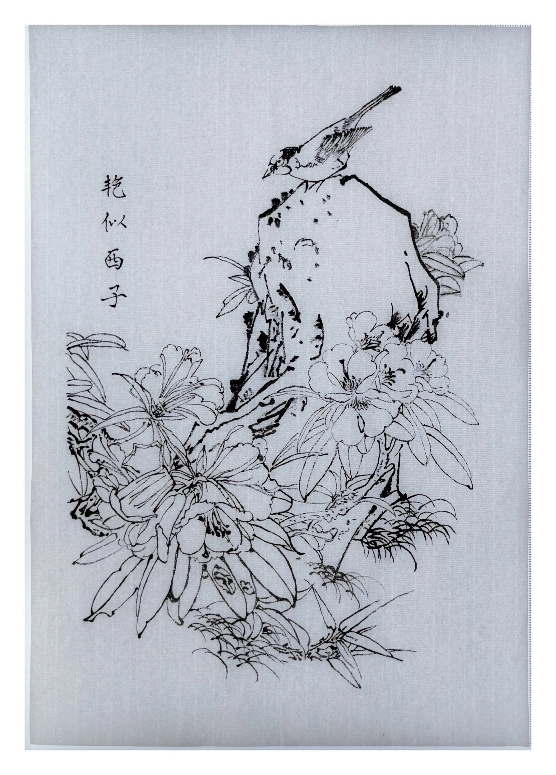 工笔画白描《花鸟图》四张