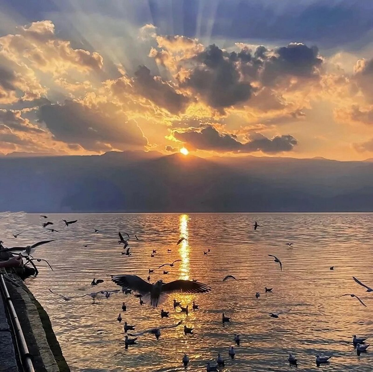 分享治愈系朋友圈背景图