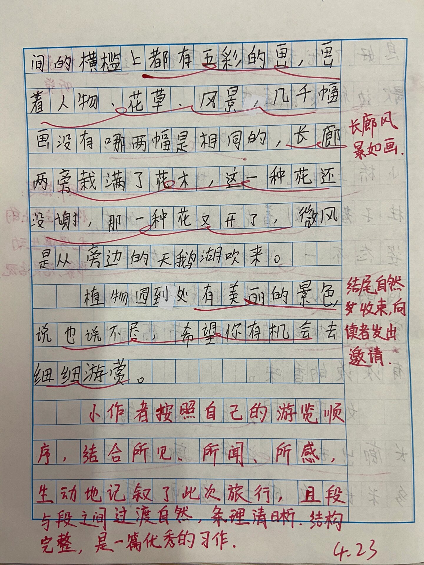 观察一种植物的作文400字(观察一种植物的作文400字玉米)
