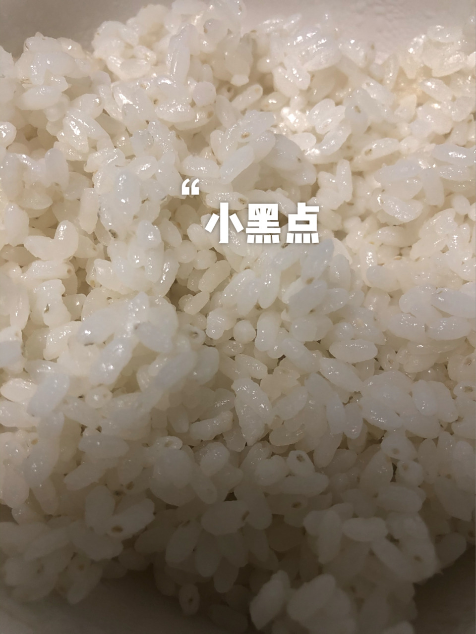 米饭上有小黑点 米饭上有小黑点,这还能吃吗 在线等回复