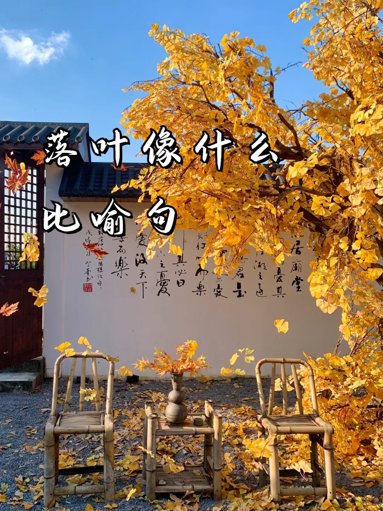就像落叶在秋风中飘荡一样,有时候我们的心情也会在生活的起起伏伏中