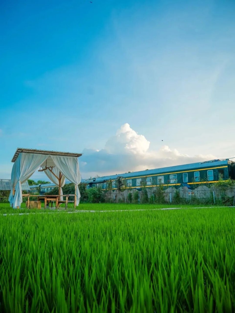 湖北民宿| 真的是宫奇骏画风,自然清新农场 袁夫稻田农场坐落在黄梅且