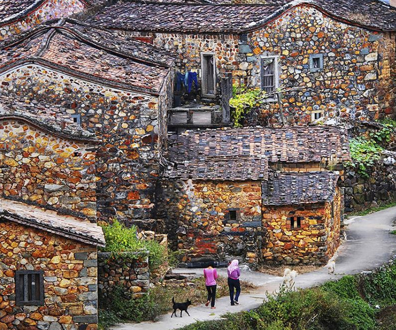 樟脚村有大溪涧,金钟潭,观音山寺,陈平山烈士故居和纪念碑等.