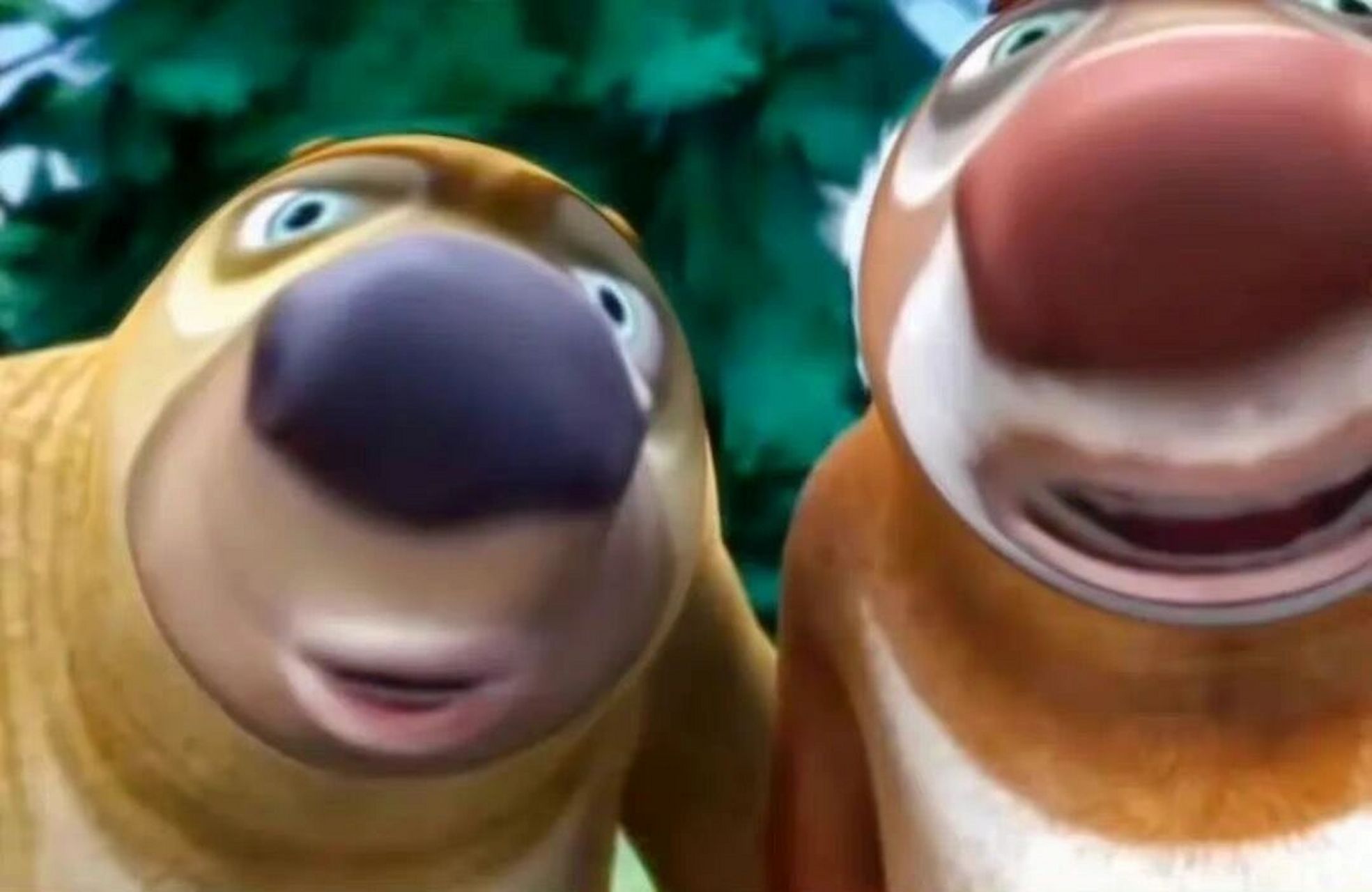 熊大熊二表情包 哈哈哈哈哈哈哈沙雕人士必备 太帅气了