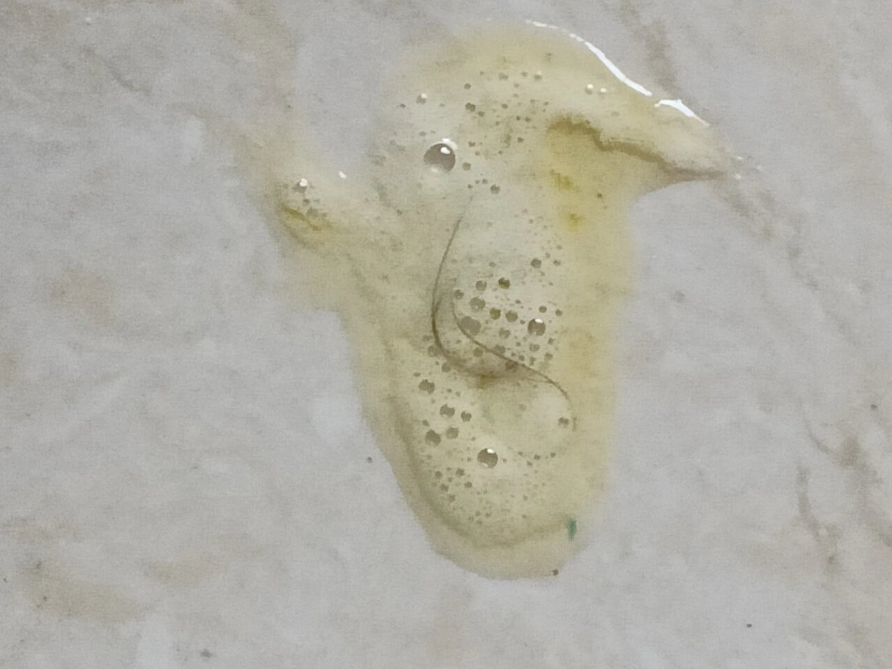 怎么办,四个月的比熊狗身体一直很好,昨天因为西安才