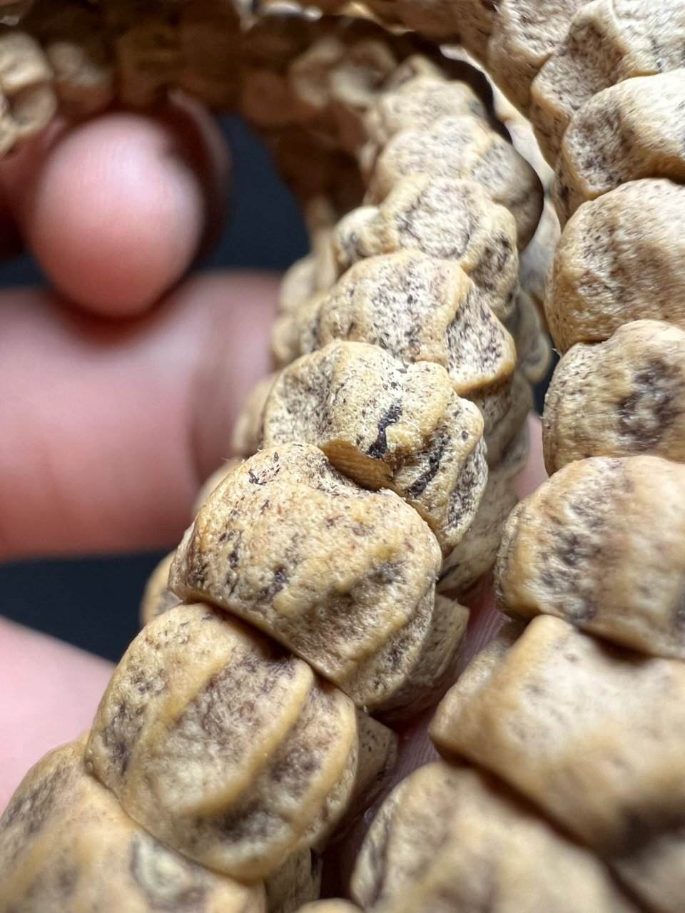 石人一只眼 半夜起来拍照,被自己之前拍的照片丑到睡不着