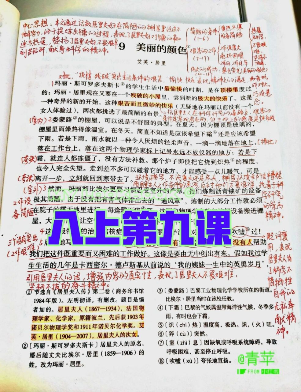 八上语文备课笔记之《美丽的颜色》 教学本课时要把握人物传记的特点