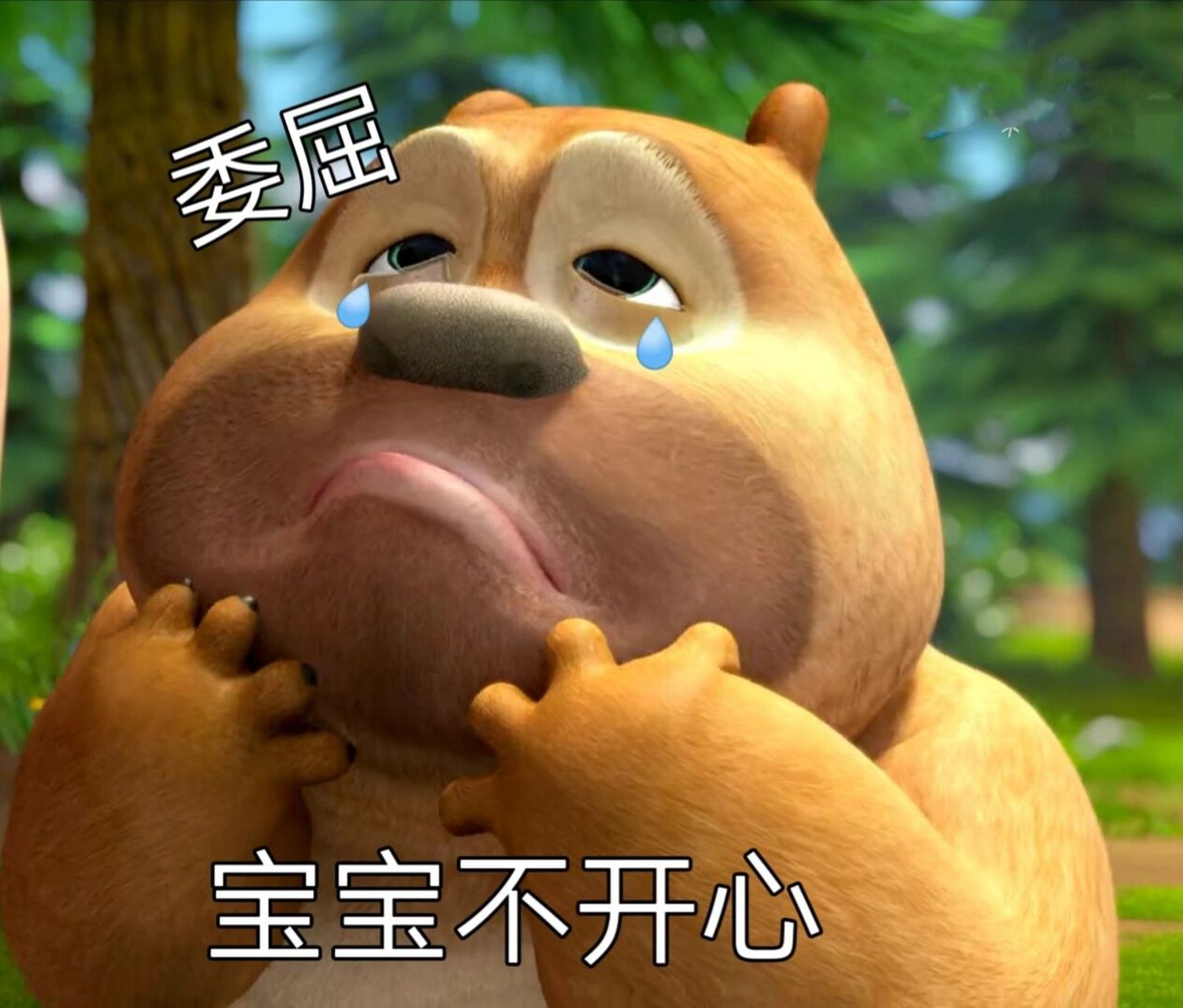 小熊儿表情包   小熊二表情包