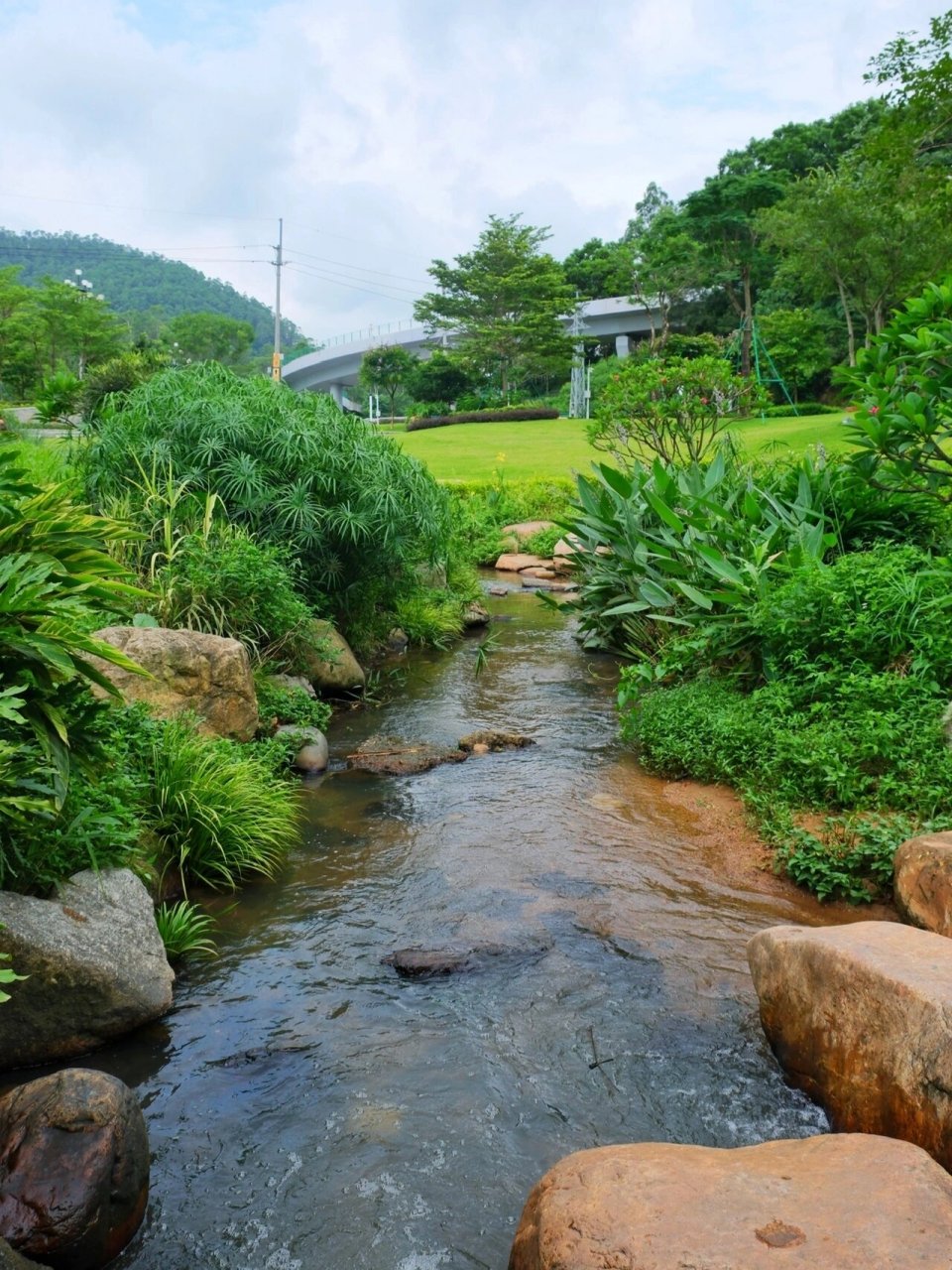 广州户外溯溪|黄麻村竹林小溪|夏日避暑秘境     	 今天要介绍2个地方