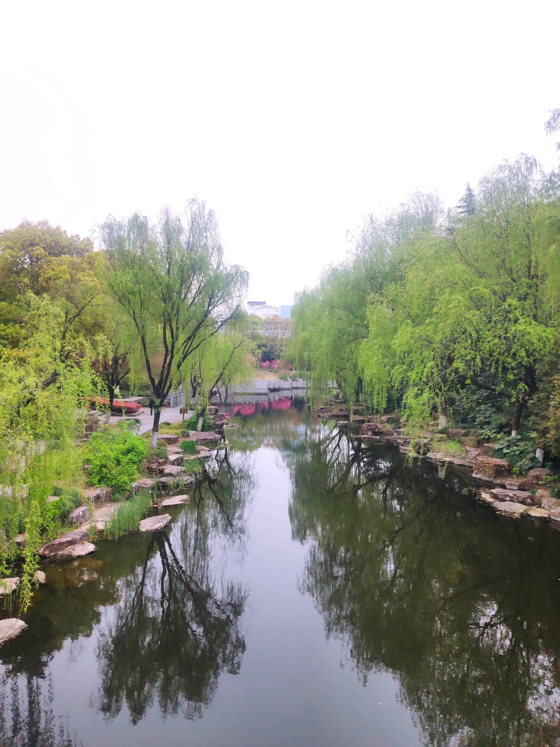 消防主题公园 下沙消防主题公园新种了很多不知名水草,也可能是花的