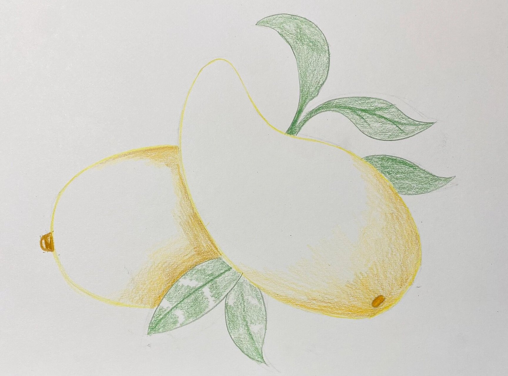 彩铅芒果03