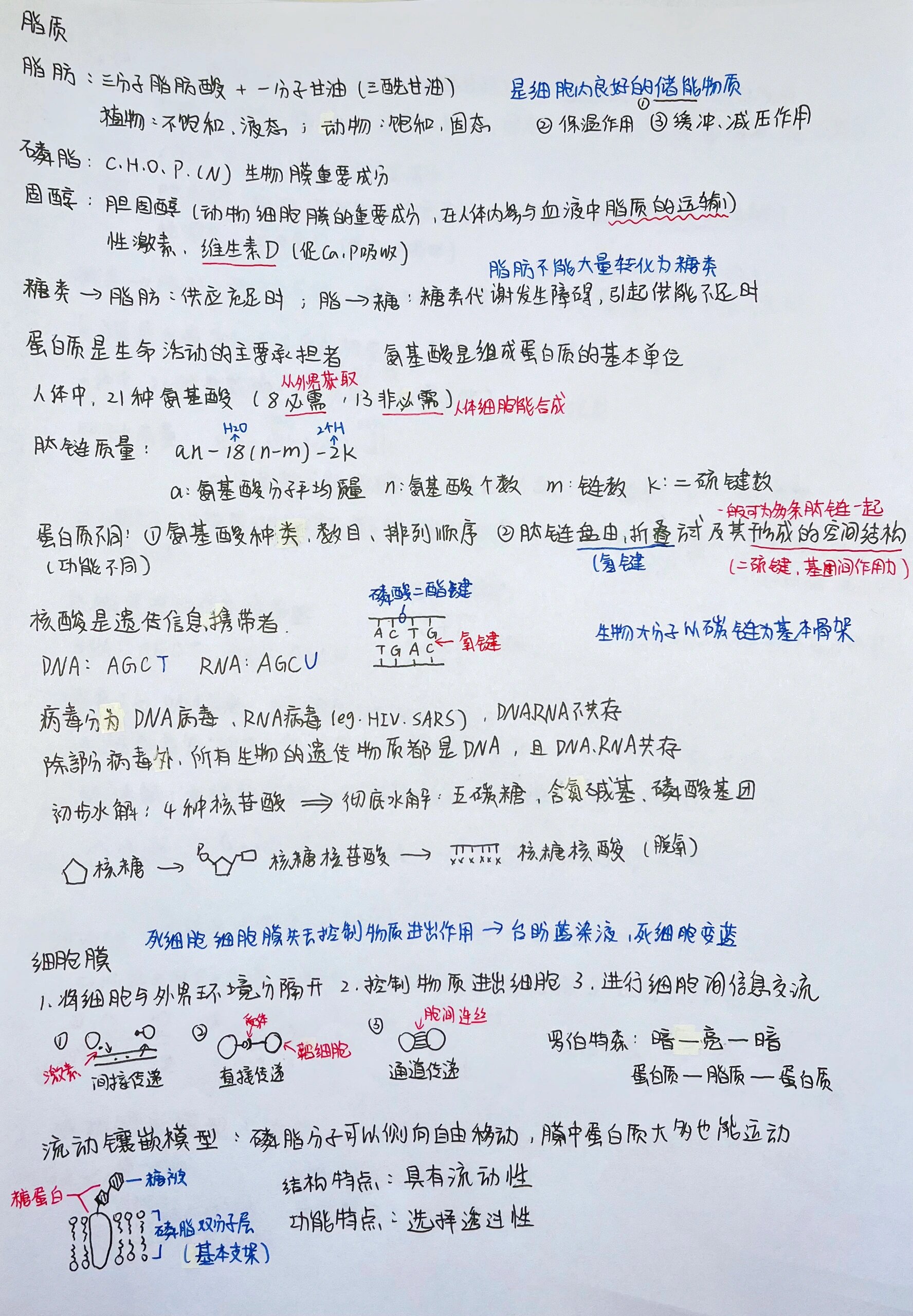 高中生物实验总结开头(高中生物实验总结开头和结束语)  第2张