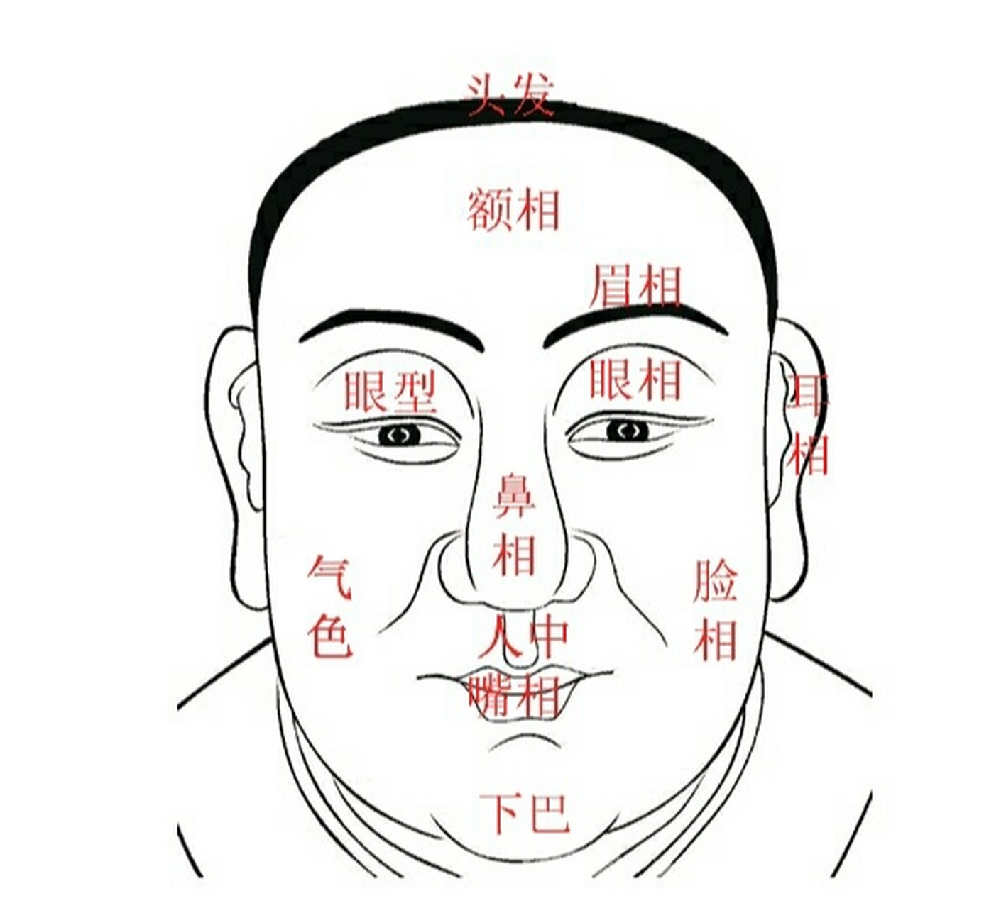 各种眼型图解大全男人图片