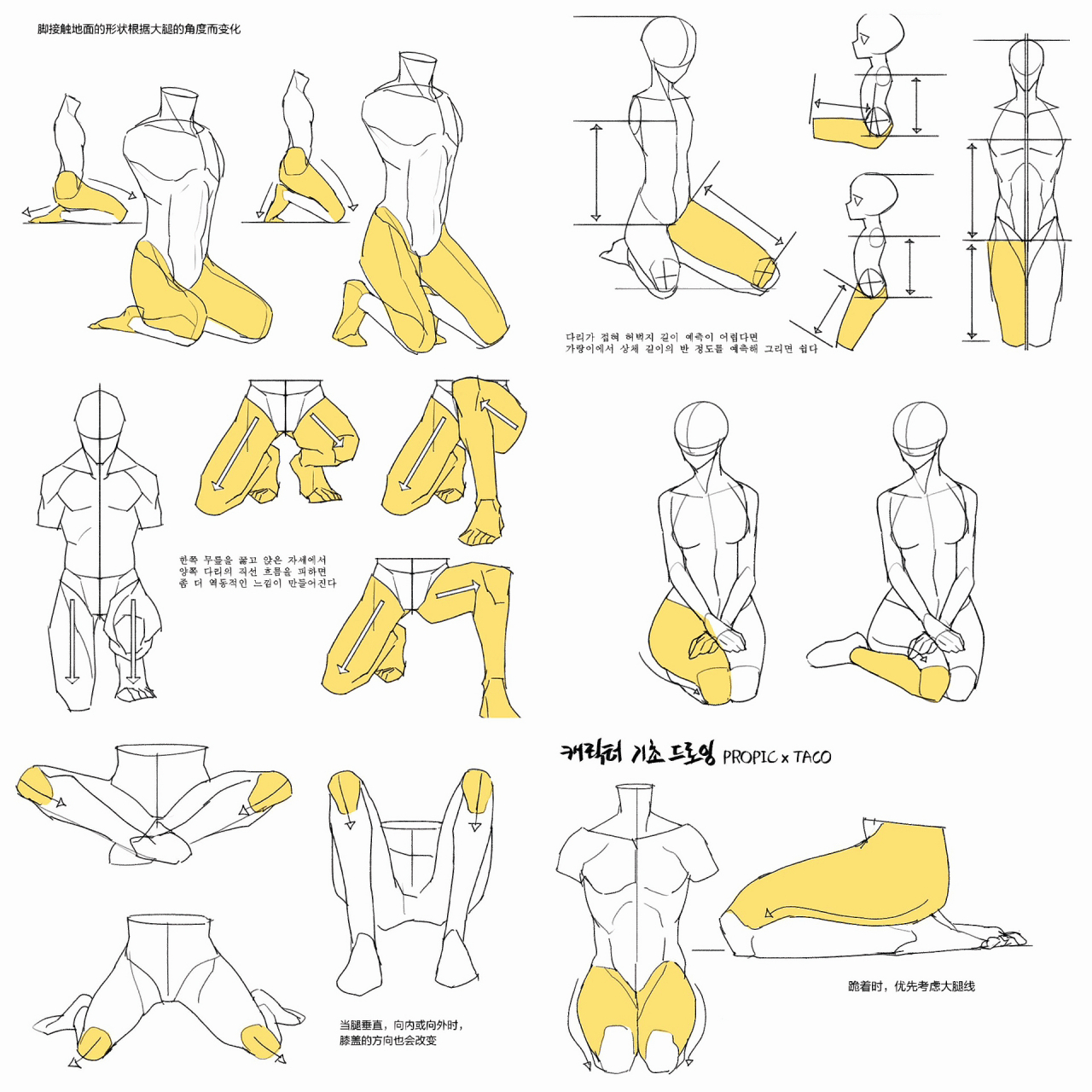 绘画教程|跪姿腿部画法参考 来自 53493275 的教程 (图片仅做