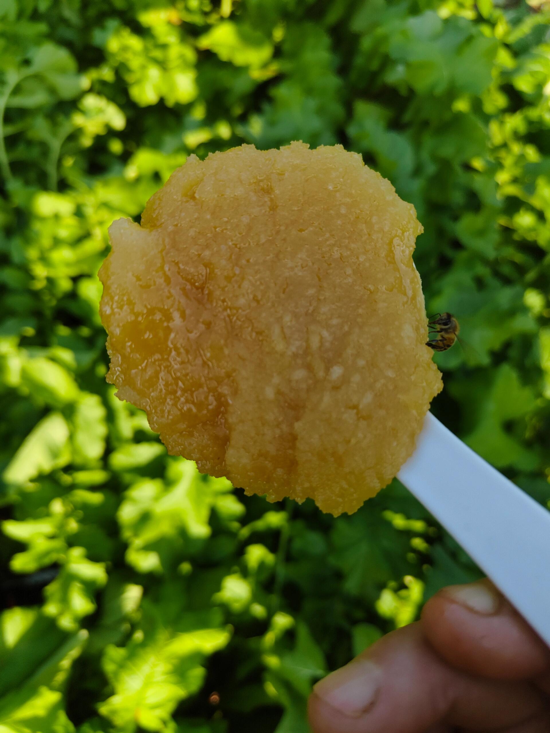 孕妇血糖高可以喝蜂蜜(孕妇吃什么血糖降得快)