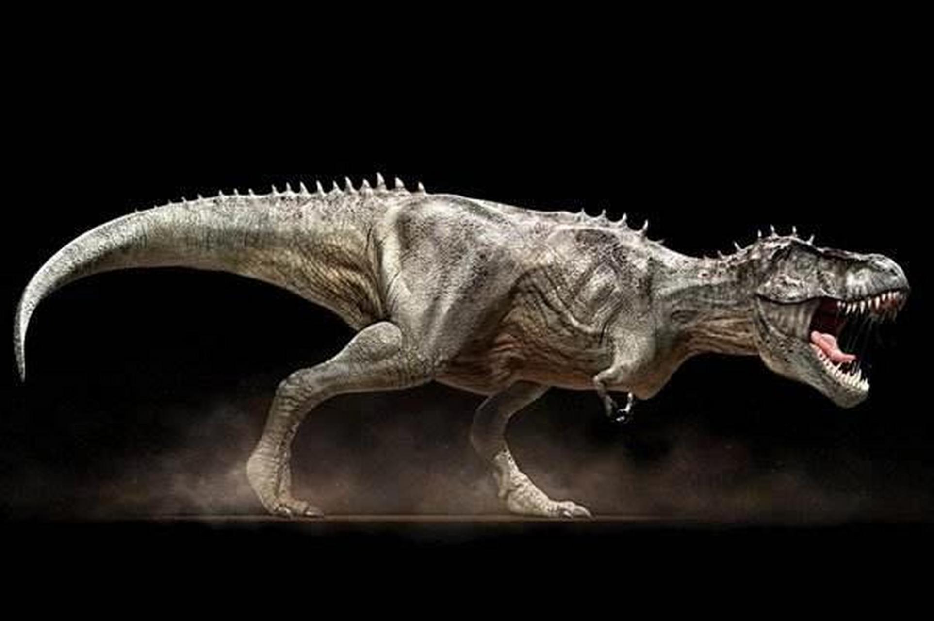 恐龙图鉴 物种:雷克斯暴龙(又叫霸王龙) 年代:晚白