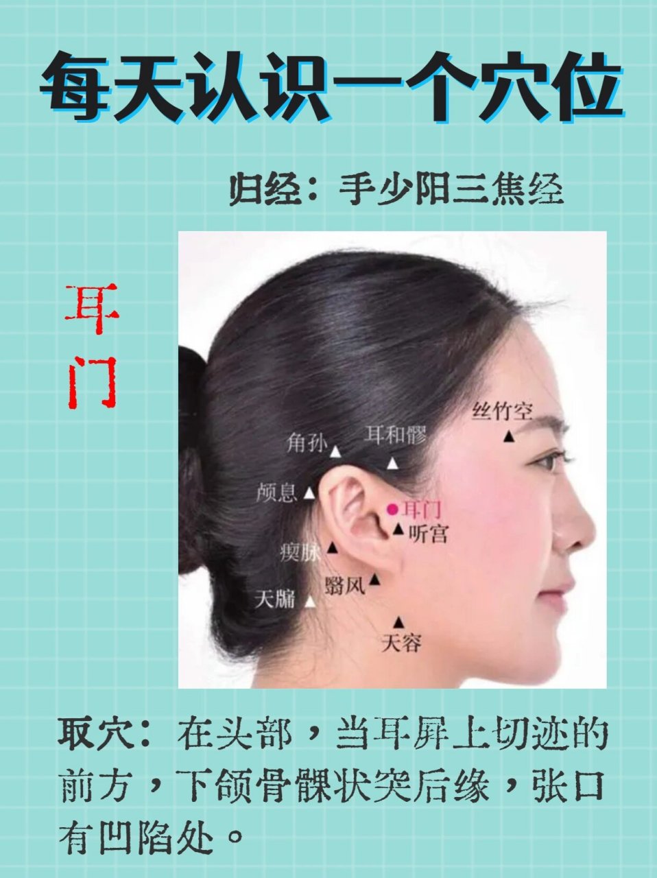 外耳门位于颧骨图片