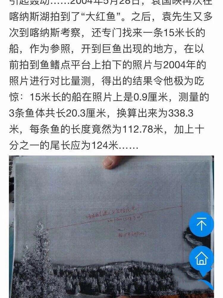 哲罗鲑最大能有多大图片