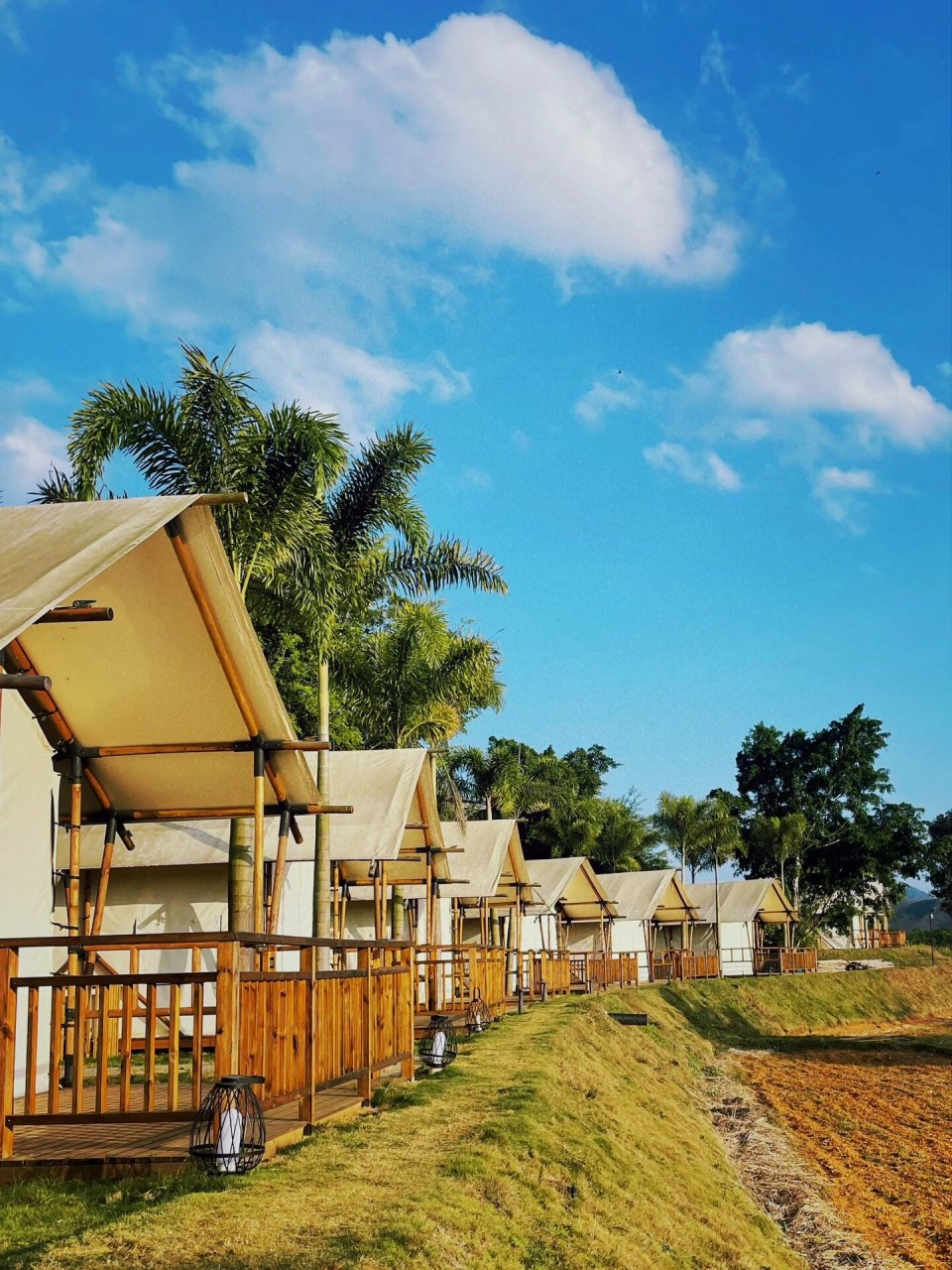 海南亲子丨喜禾农场 云舍松涛·海南中国村 喜禾热带水果主题公园