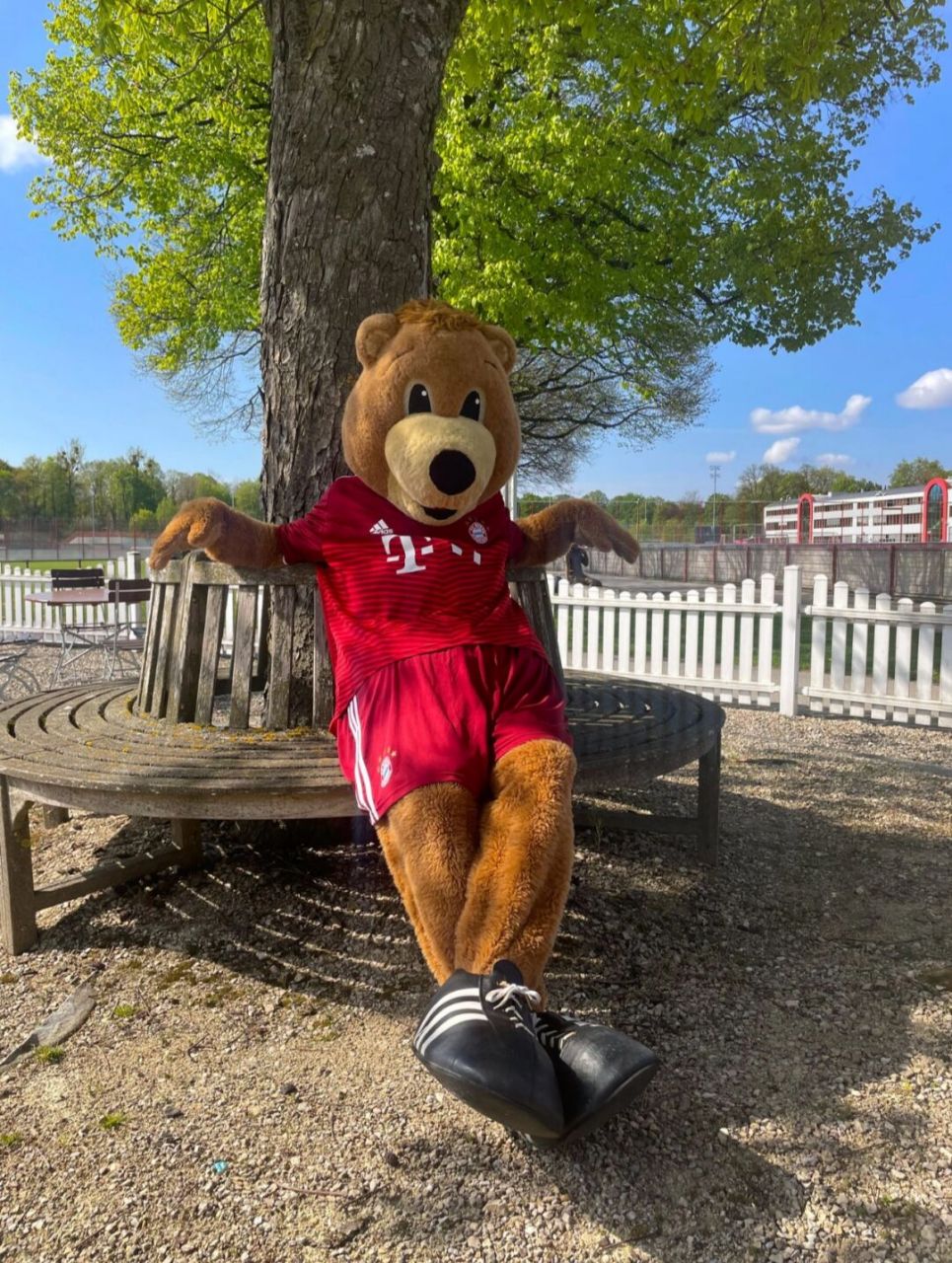 拜仁慕尼黑# #拜仁# #足球# 假期结束咧,又回到搬砖的日子00