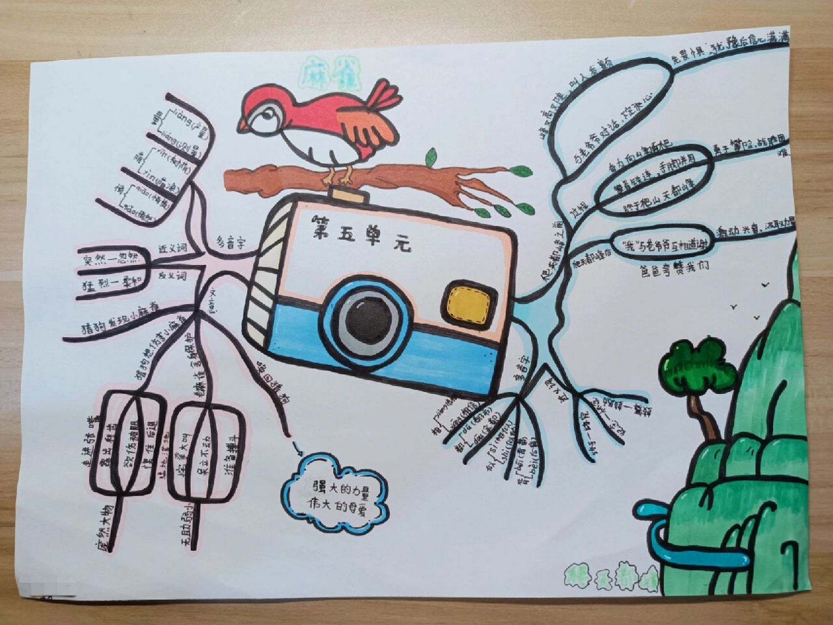 四年级上册语文 第五单元思维导图手抄报 画这个真的好累(模仿)
