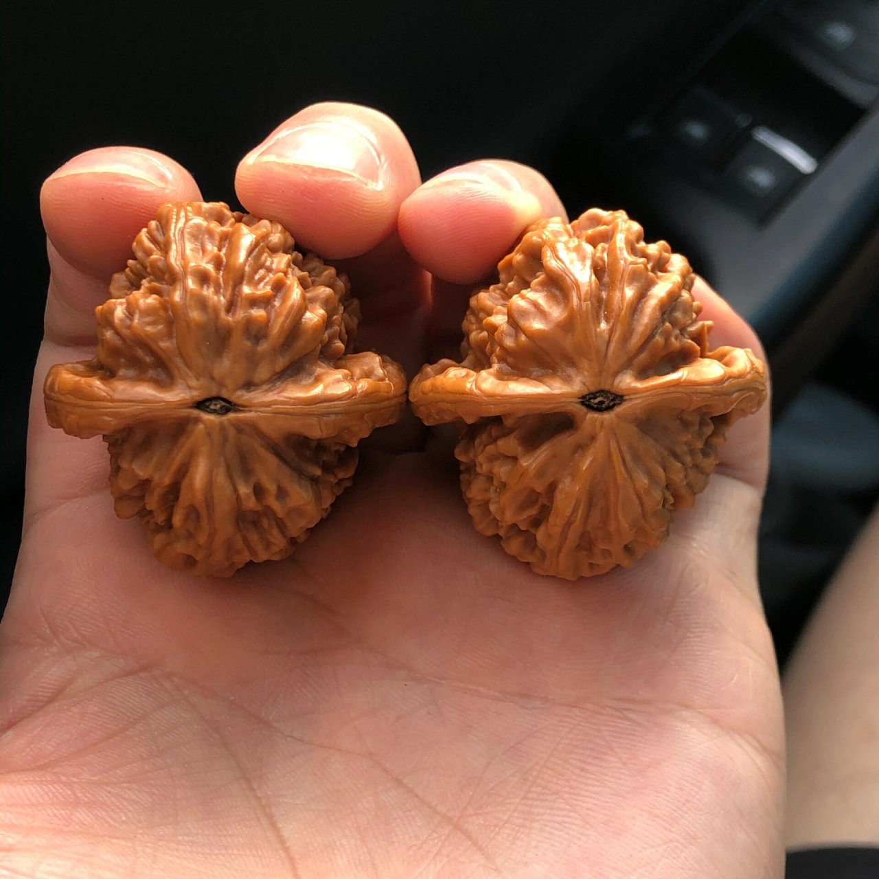 野生大红袍文玩核桃38mm精对儿 野生小众大红袍!