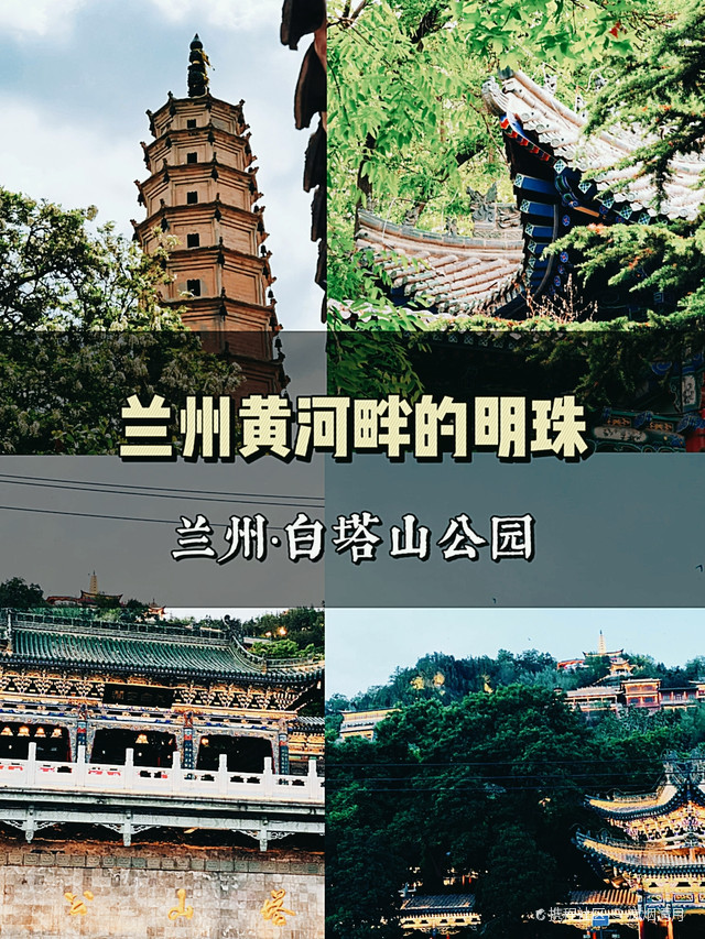 兰州白塔山公园简介图片