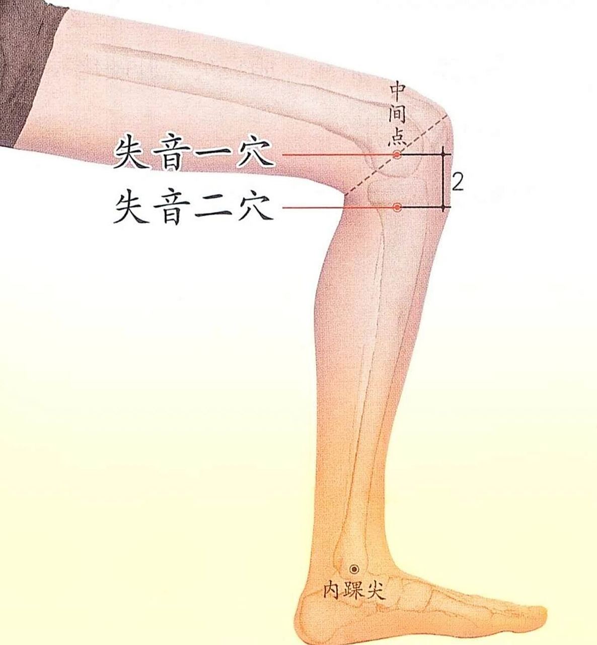 董氏针灸失音穴,针对各种原因导致的声音嘶 一,穴位位置: 失音一穴