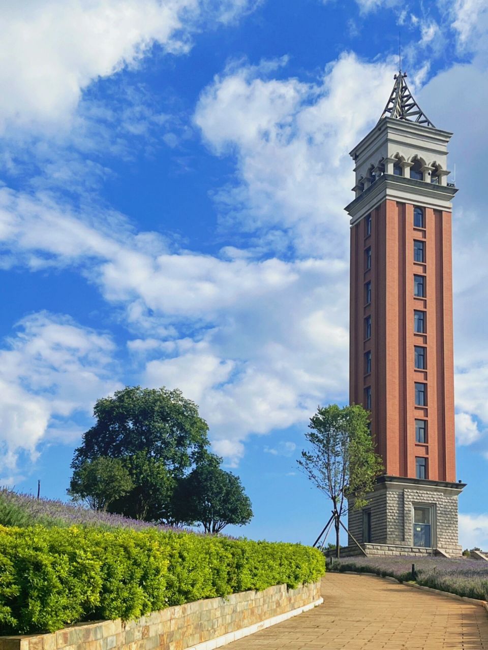 云南大学美景欣赏|每天都想拍照91 太漂亮了拍了好多照片奈何首图