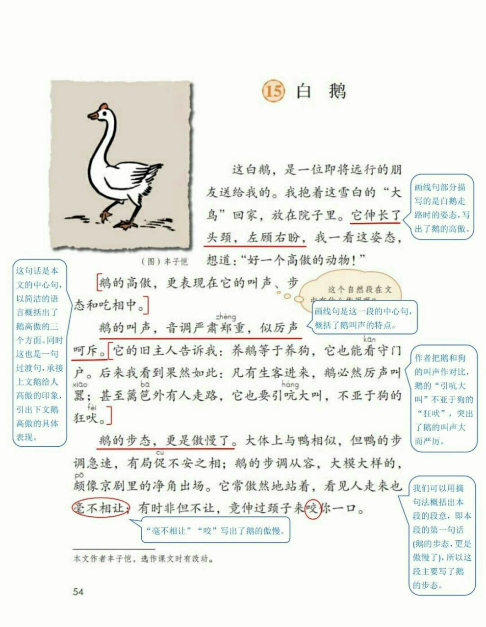 小学语文四下第15课《白鹅》课堂笔记 导图