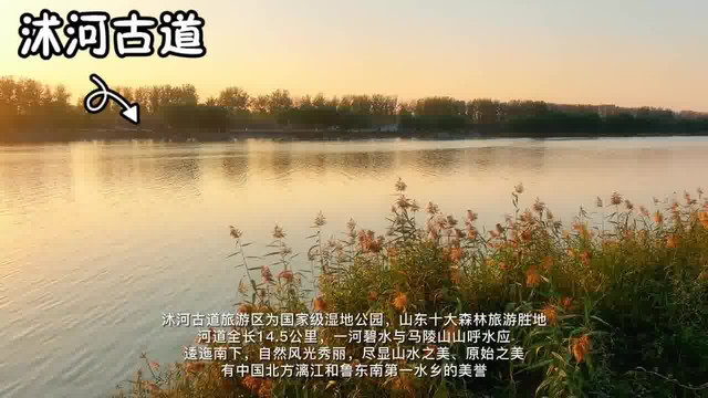 临沭县沭河古道