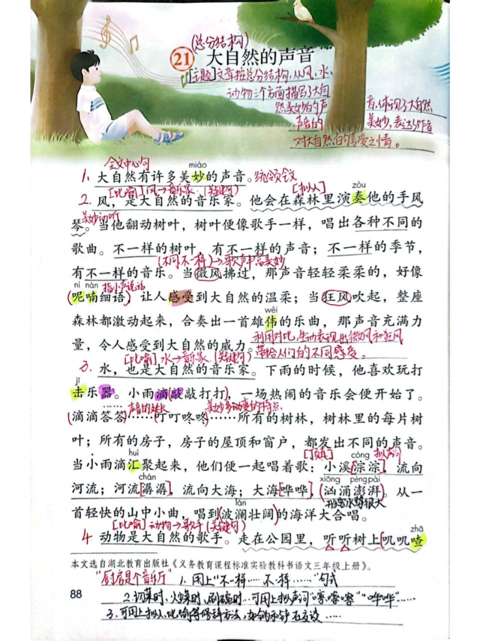 三年级上册第21课《大自然的声音》课堂笔记 部编版语文三上《大自然