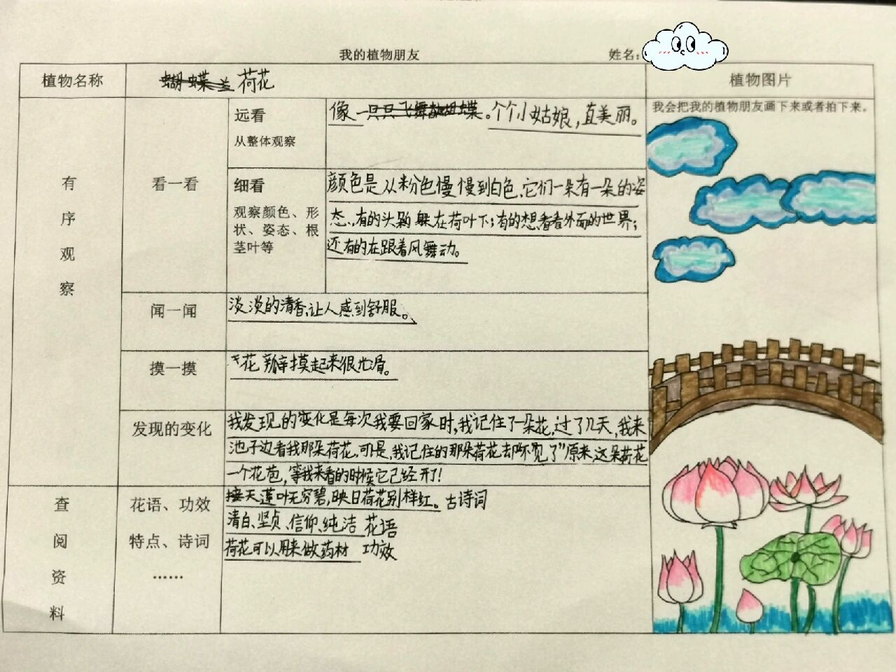 观察记录卡片的图片(观察记录卡怎么写有哪些例子)