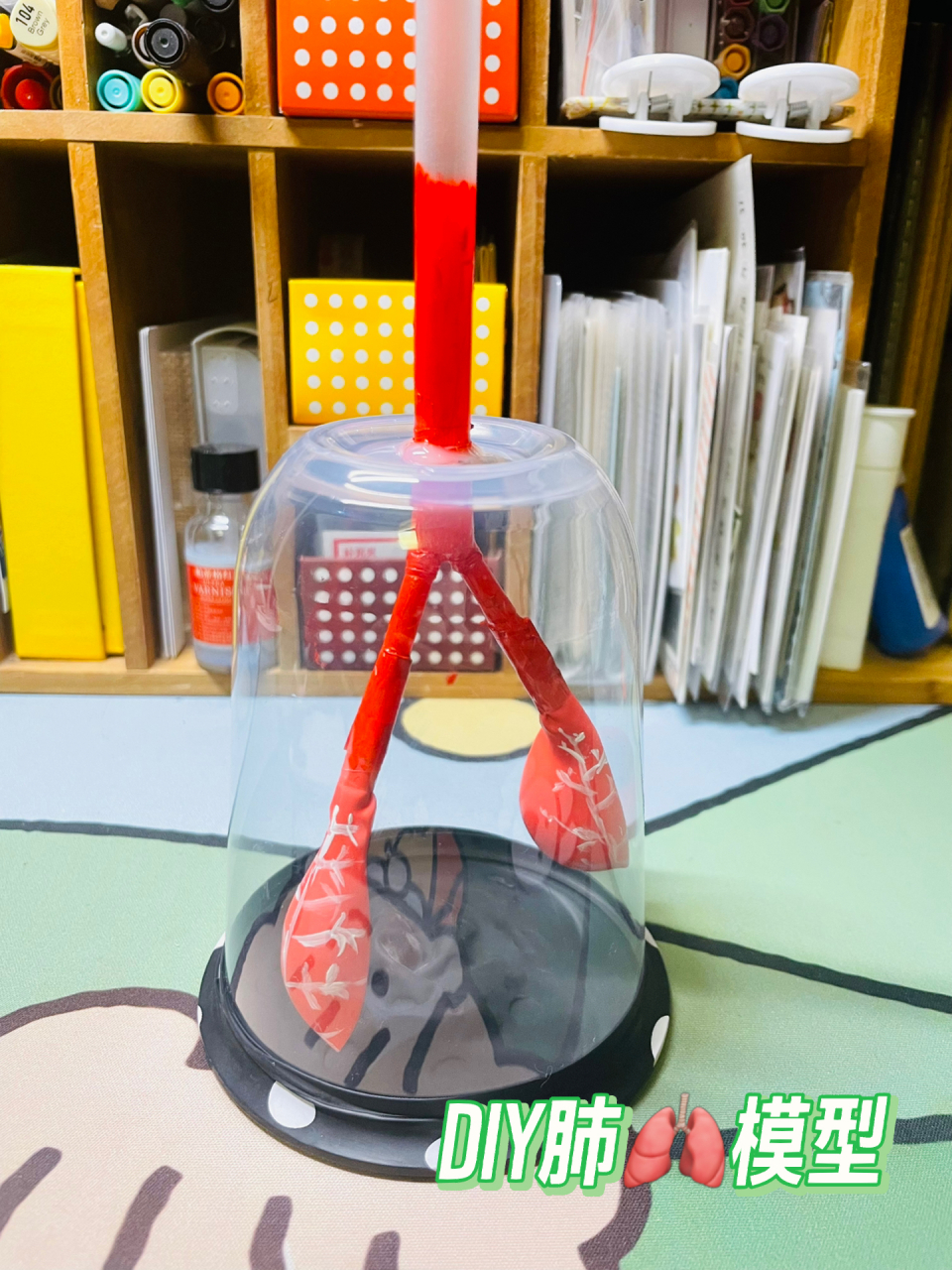 七年级生物作业——diy肺部03模型(教程 7915准备材料:吸管3根