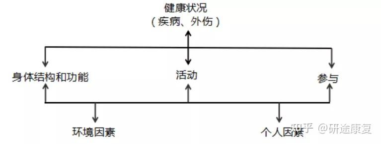 基于icfcy的孤独症儿童病例分析