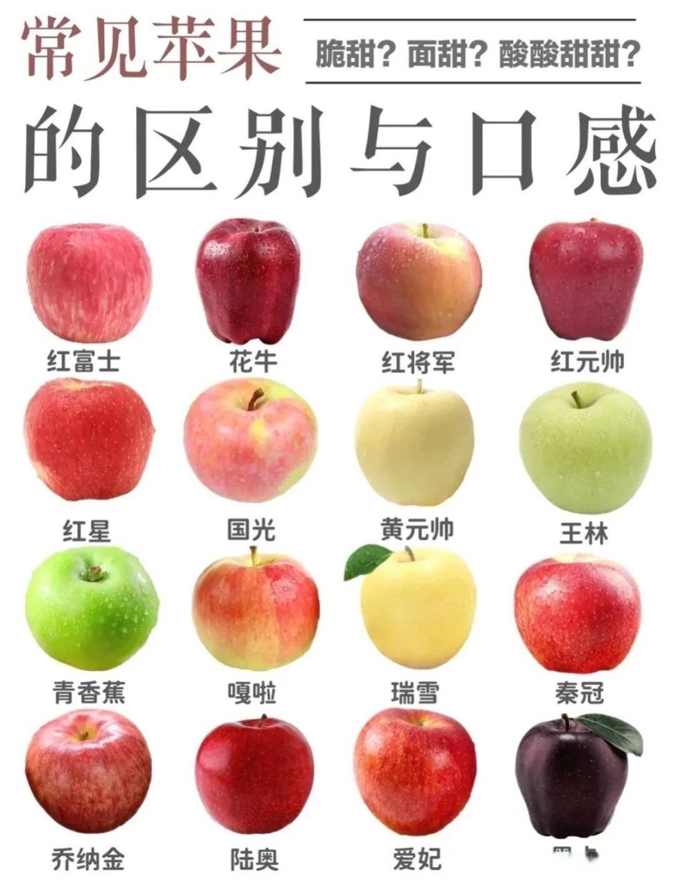 常见苹果的区别与口感,没想到苹果的种类居然这么多,这陆奥和黑卡居然