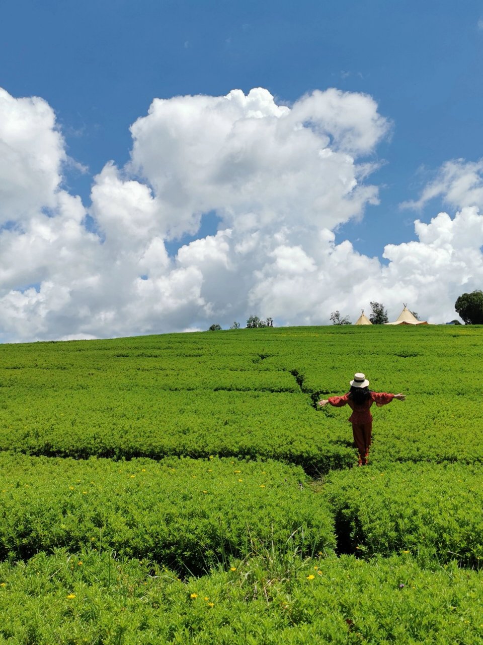 太平湖 | 游玩攻略 7515太平湖森林小镇位于七彩云南的滇南福地
