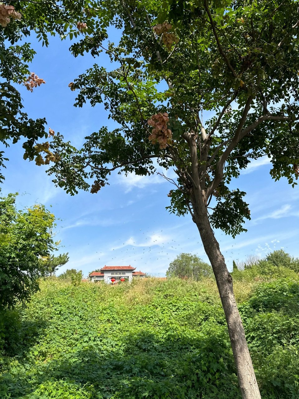 青云宫,青岛的"龙王庙" 位于红岛溯源村,依山傍海,别有一番风味.