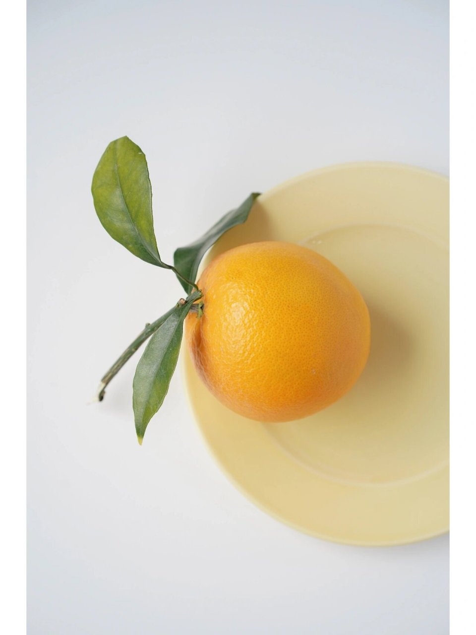 静物摄影 | 温温柔柔的脐橙 超甜✨ 楼下新开了一家水果店 是一对