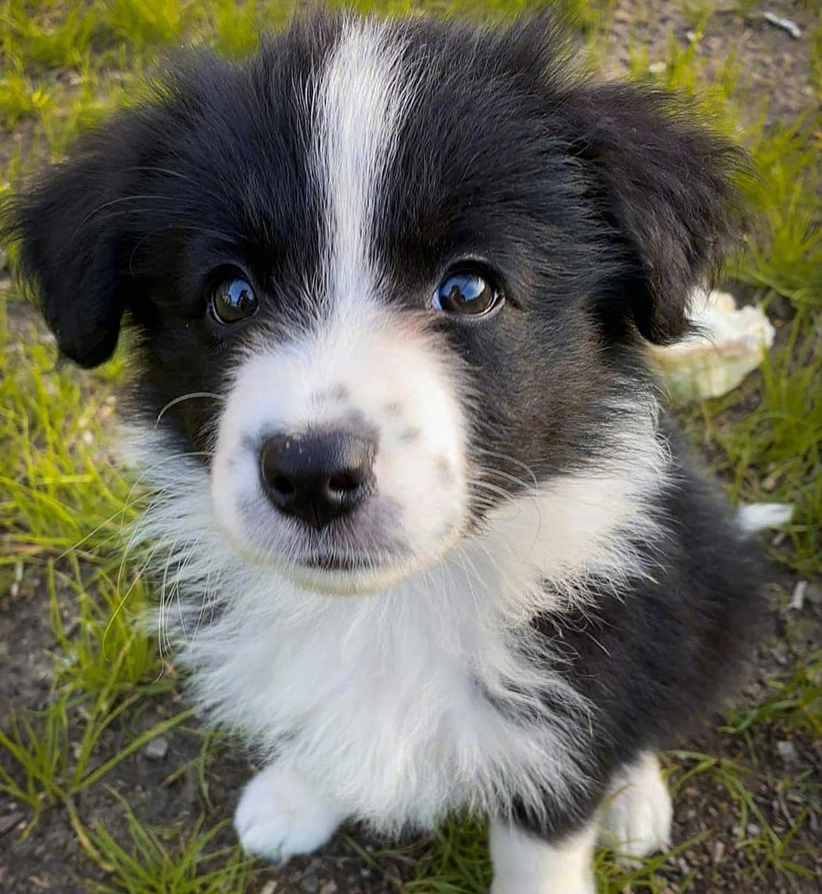 你就是我往后相伴一生的伙伴嘛  ig:titanium_lady_sia