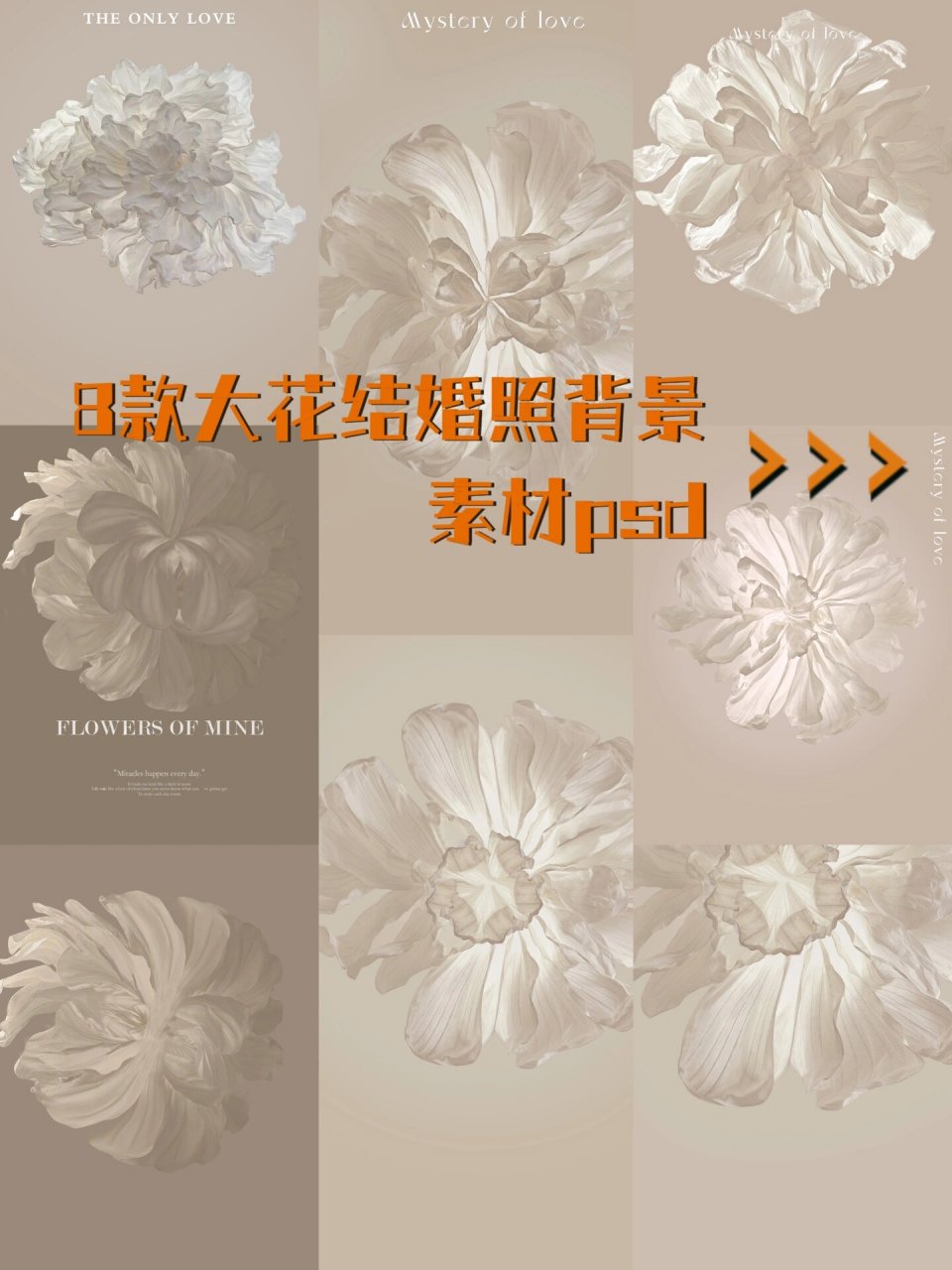 8款大花结婚照背景高清素材psd