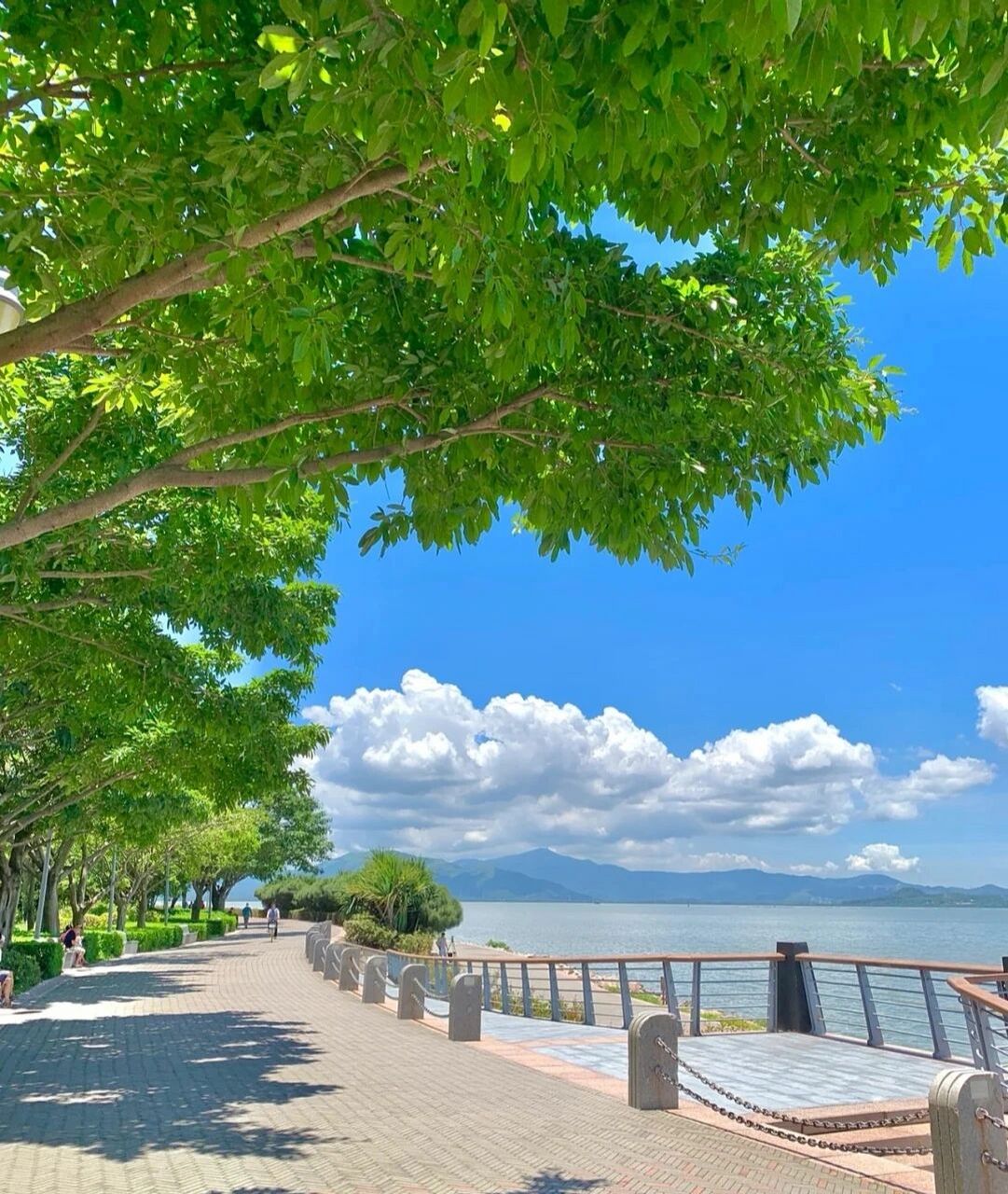 水—木(水木相生) 一个适合自己的什么"风"什么"水"头像,可以补充自己