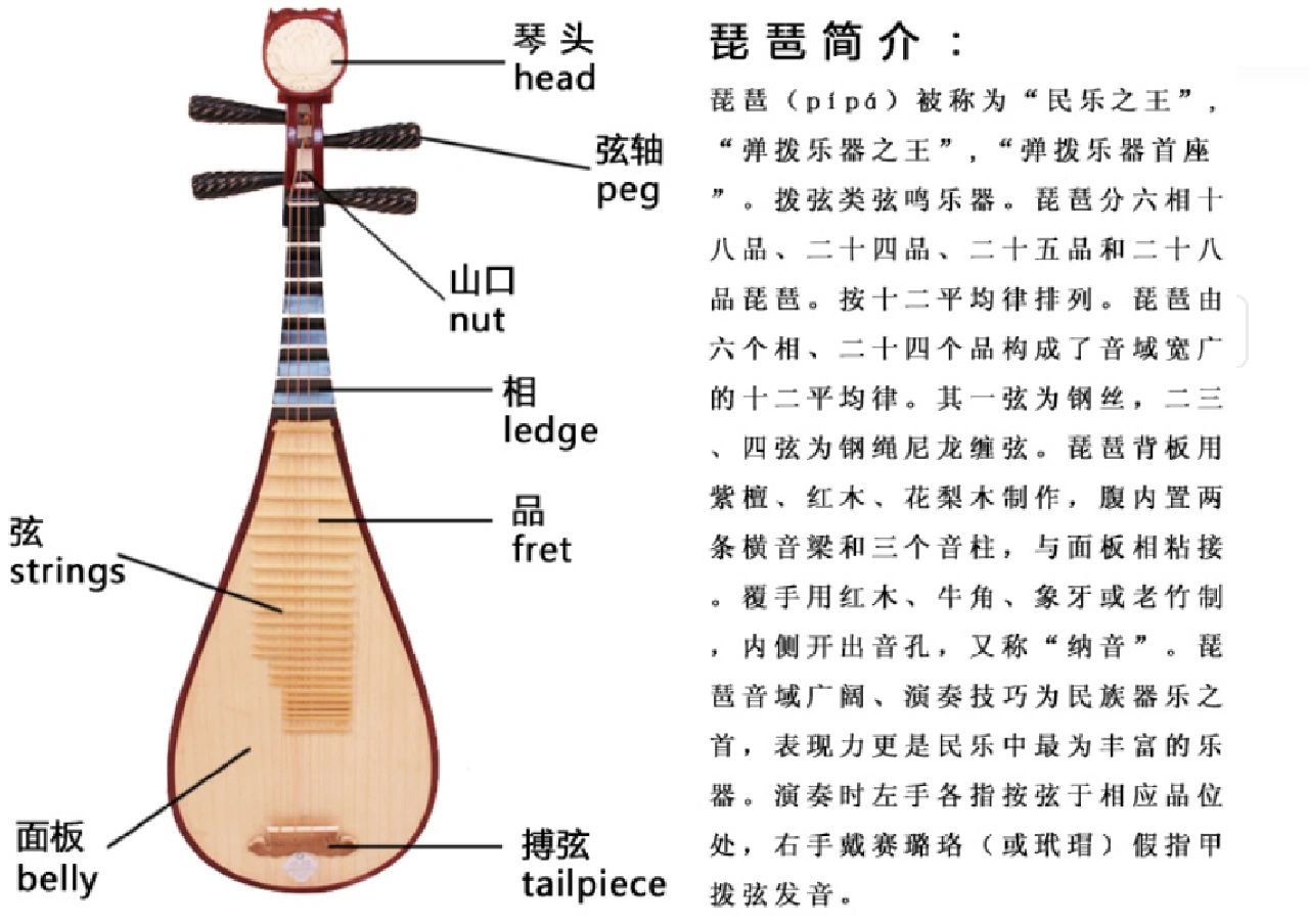 琵琶的介绍图片