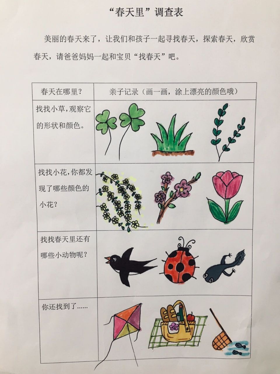 "春天里"调查表 春天 啦啦啦 啦啦啦