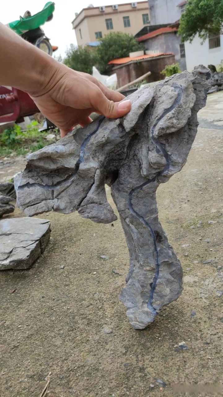 石头开槽,盆景附石!盆景附石