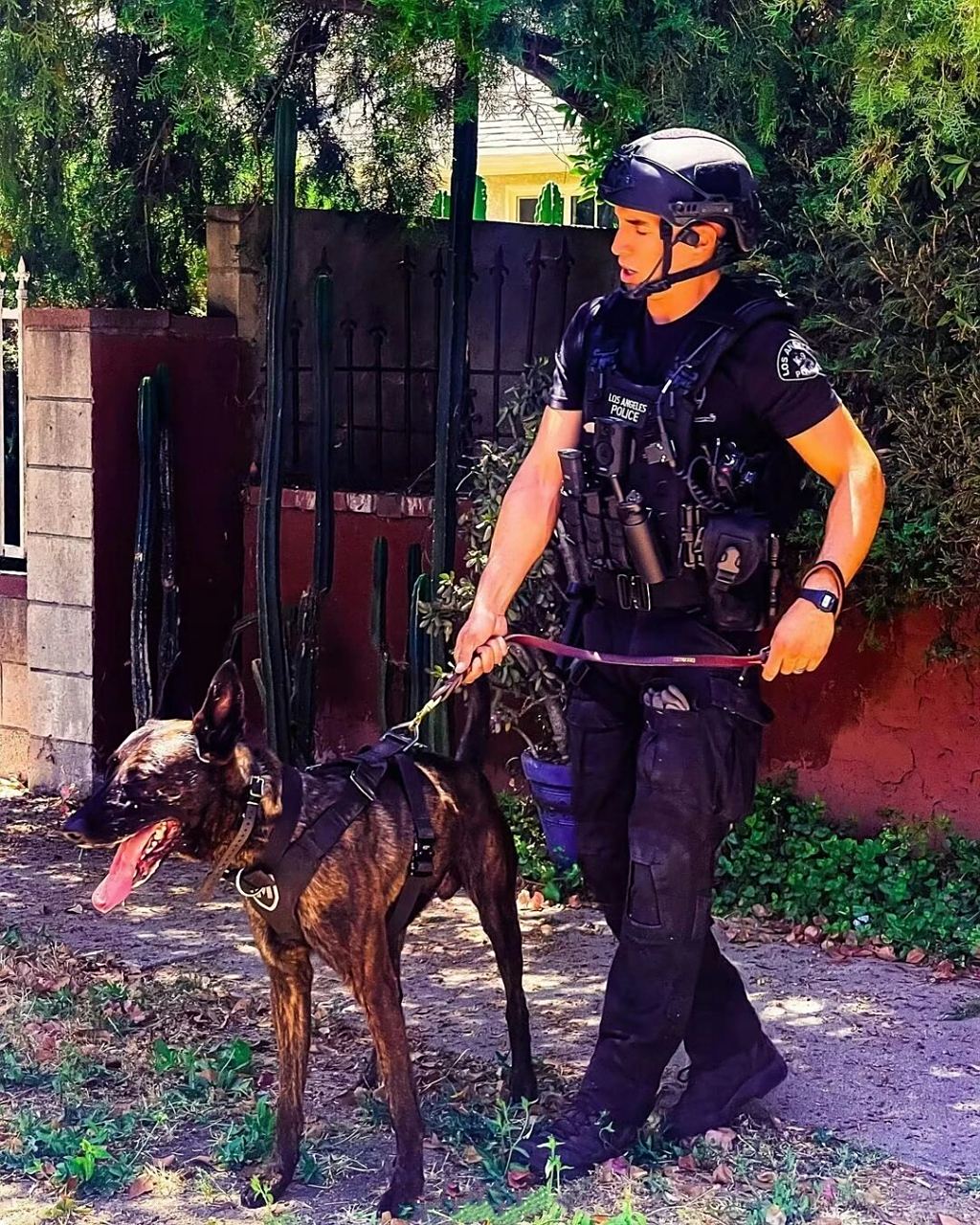 图为美国特警lapd k9和他们的警犬一起执行任务 #军事装备# #军迷大